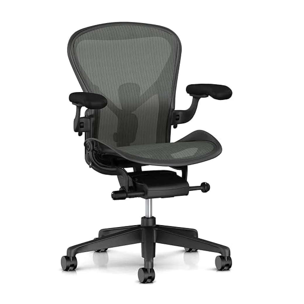 Herman Miller Chair BuyItForLife