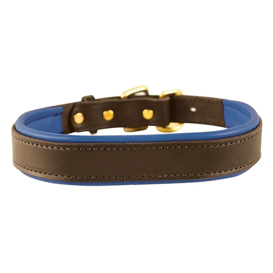 Perri's Dog Collar BuyItForLife