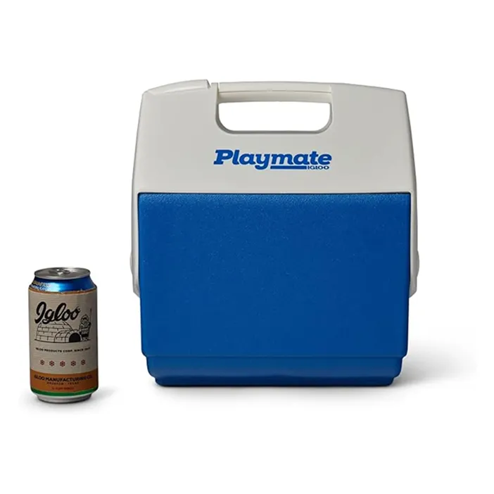 Igloo Ice Box BuyItForLife