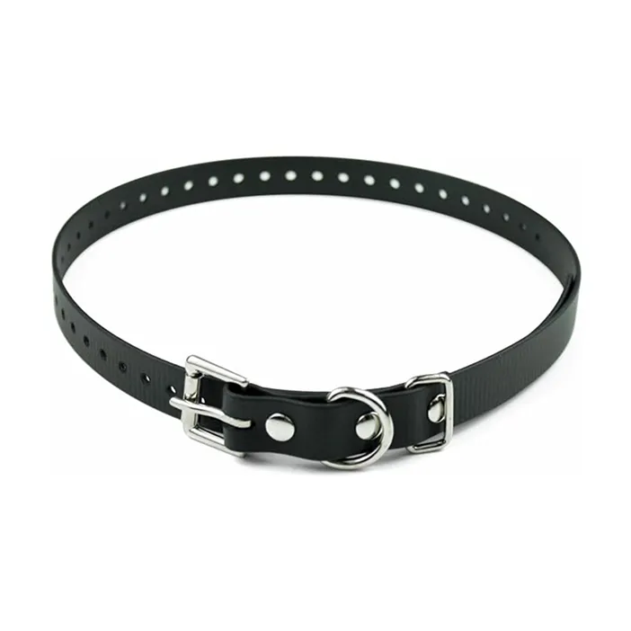 Educator Dog Collar BuyItForLife
