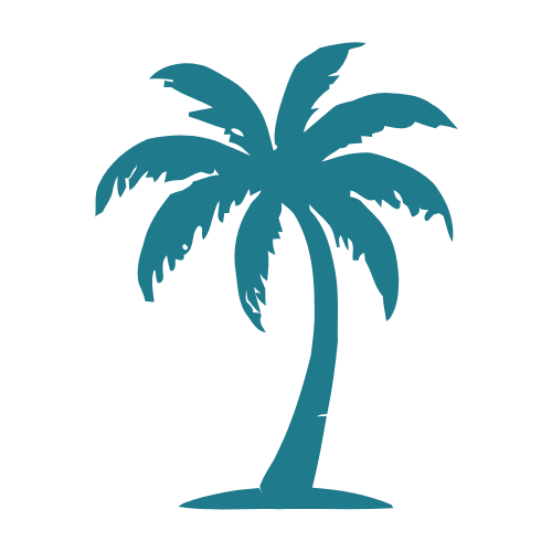 Silhouette of a palm tree with spread fronds.