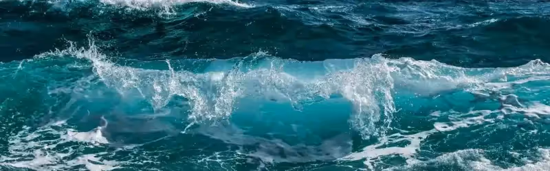 Waves