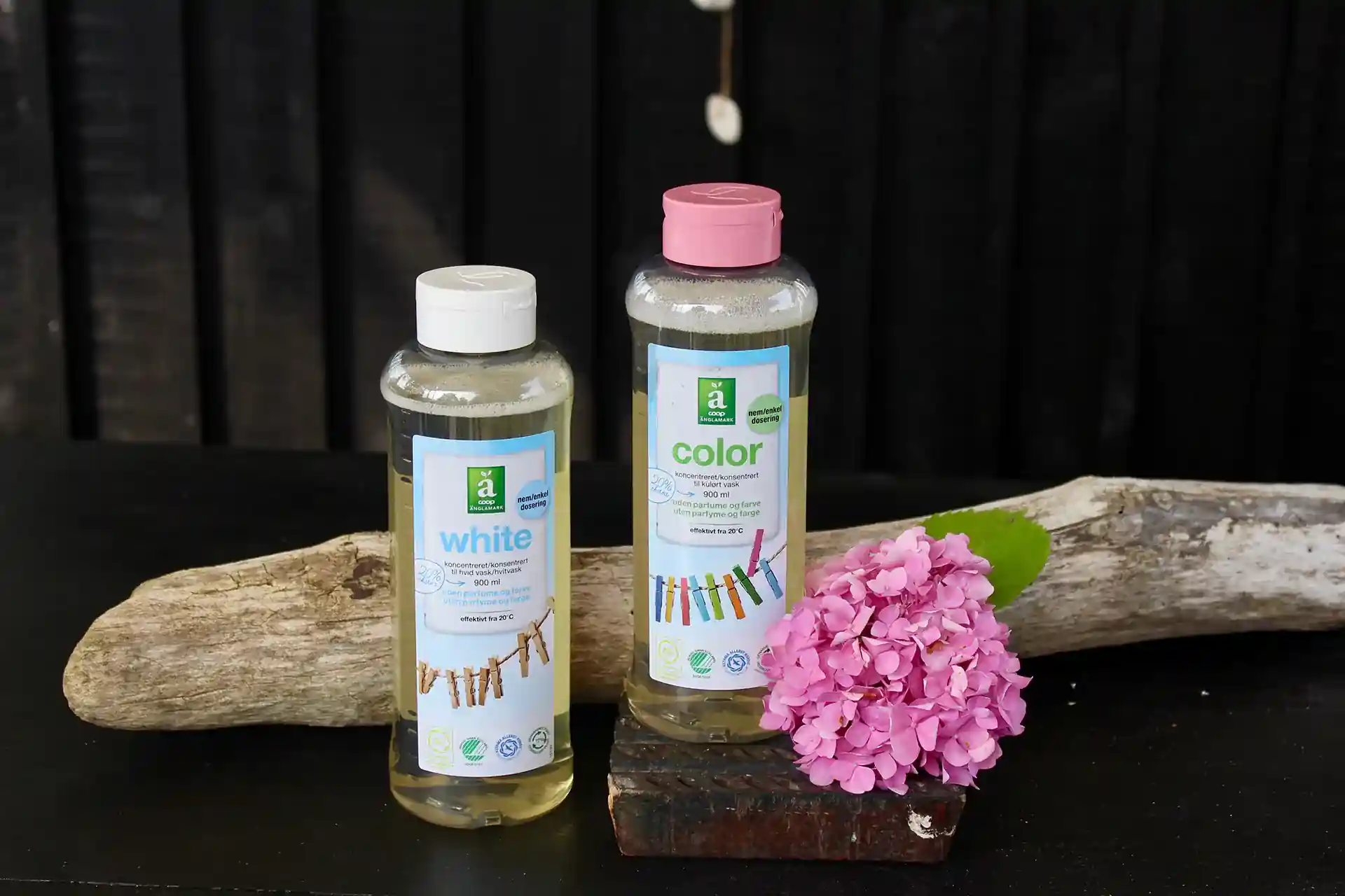 Two bottles and flower