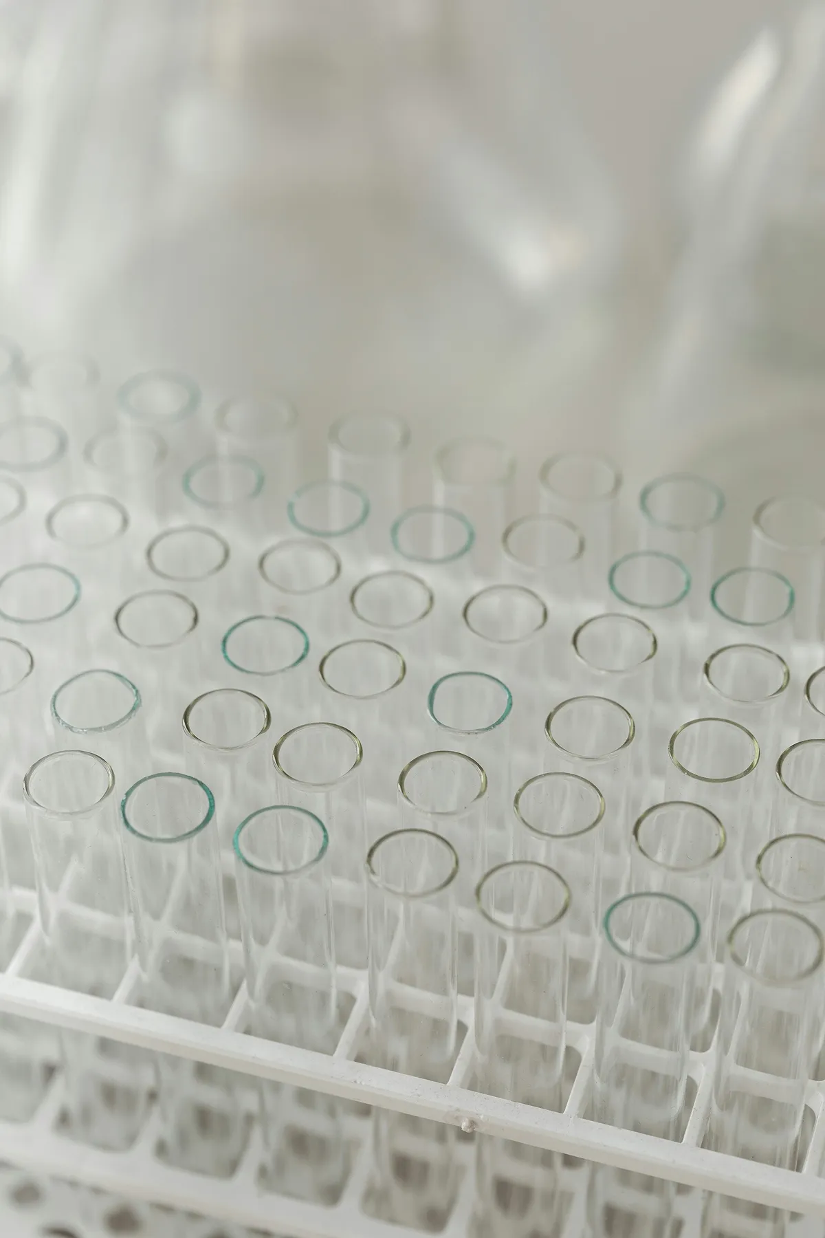 Close-up view of clear glass test tubes arranged in a white plastic rack in a laboratory setting