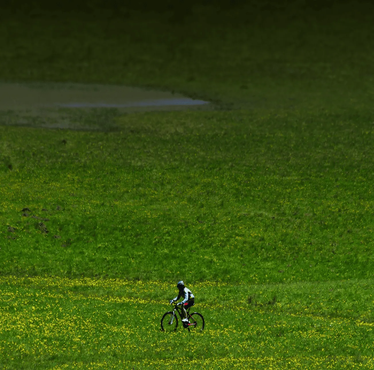 Persoon die fietst door een groen veld bezaaid met gele bloemen.