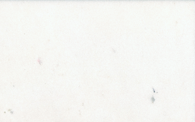 Bianco Sivec