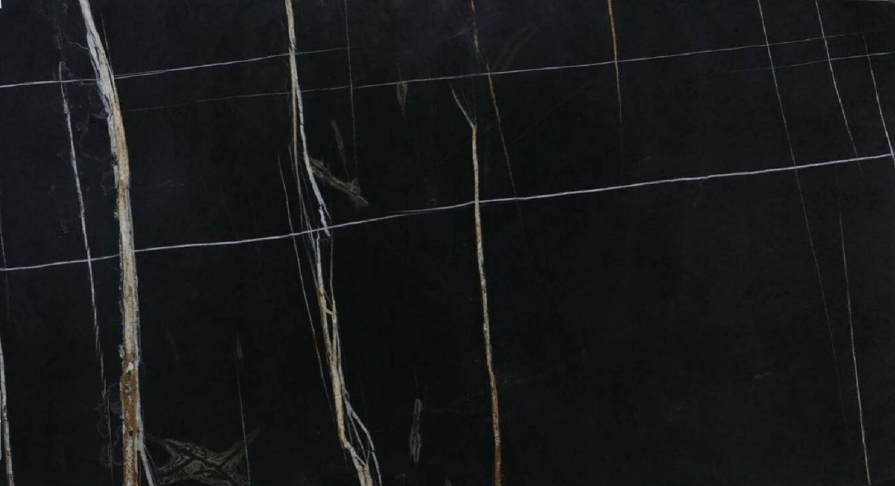 Sahara Noir