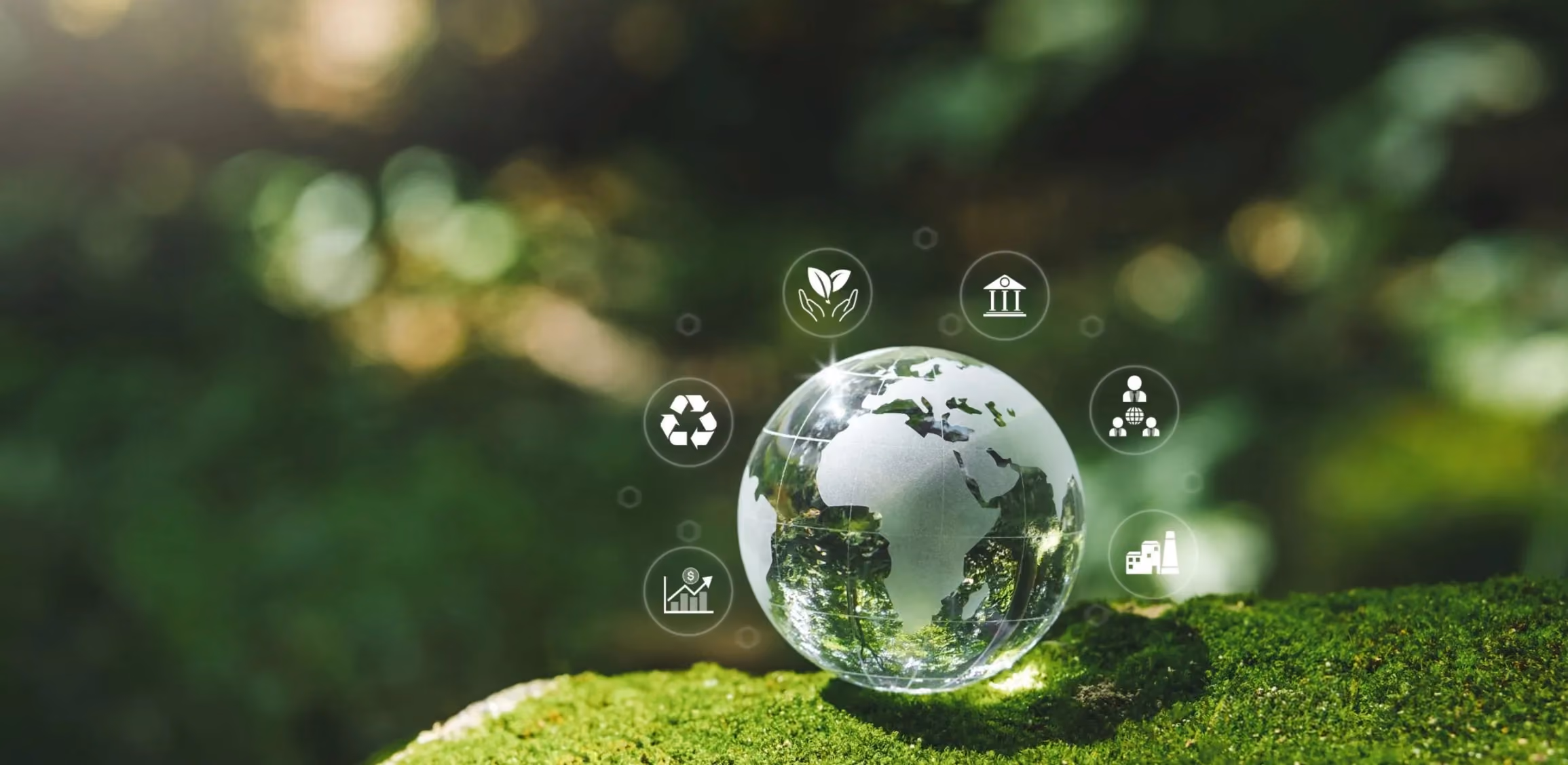 Sustainability Reporting
