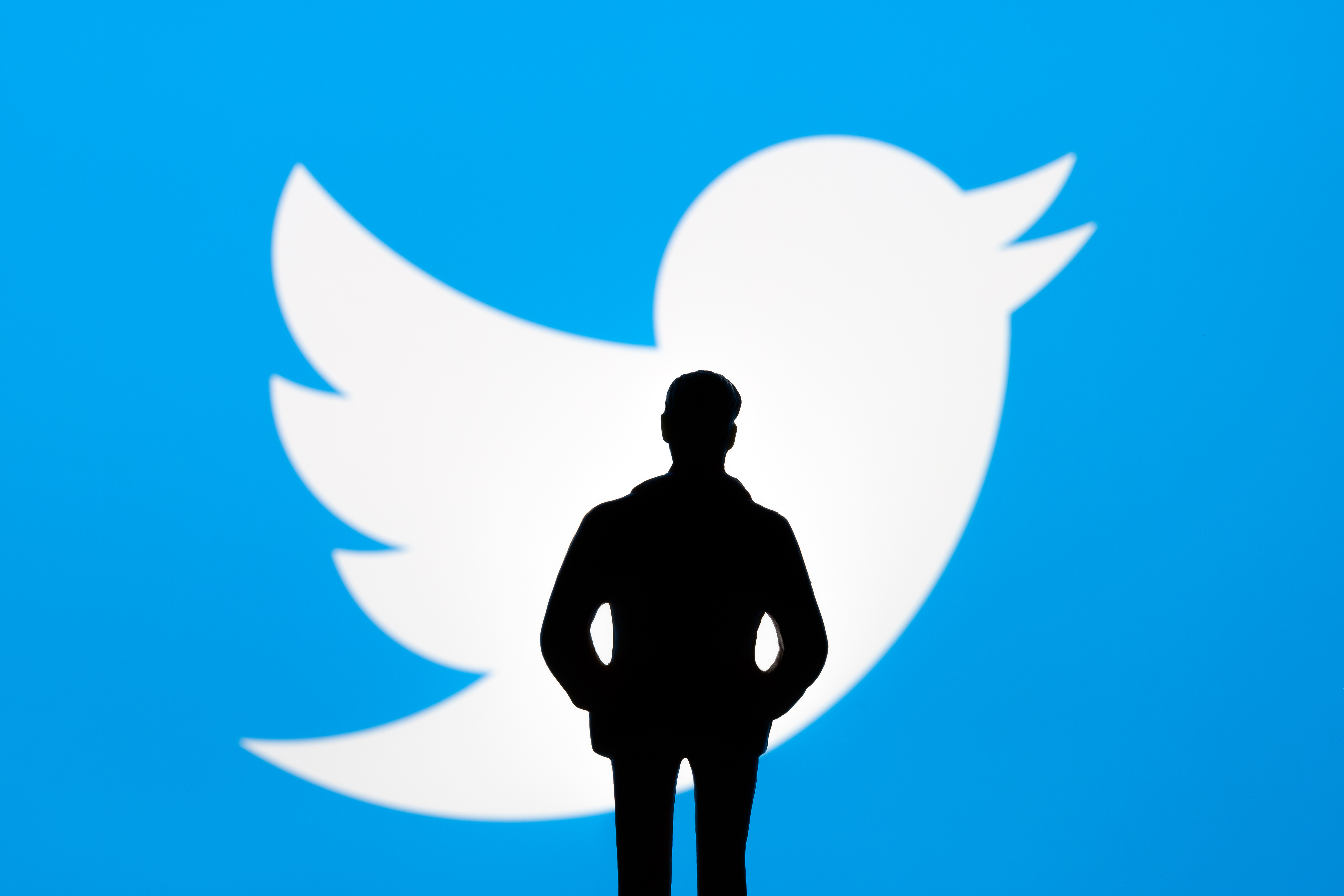 Musk Twitter Case