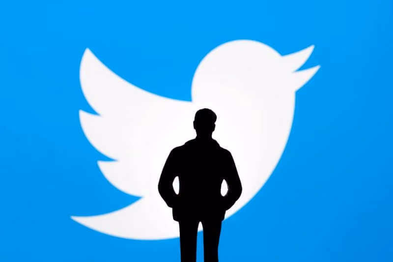 Musk Twitter Case