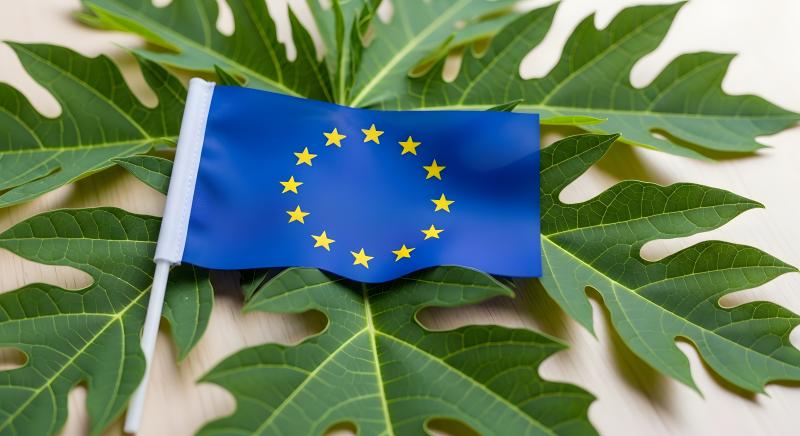 Program Budget Summary EU proposed budget cuts put biodiversity stewardship and long-term risk ...