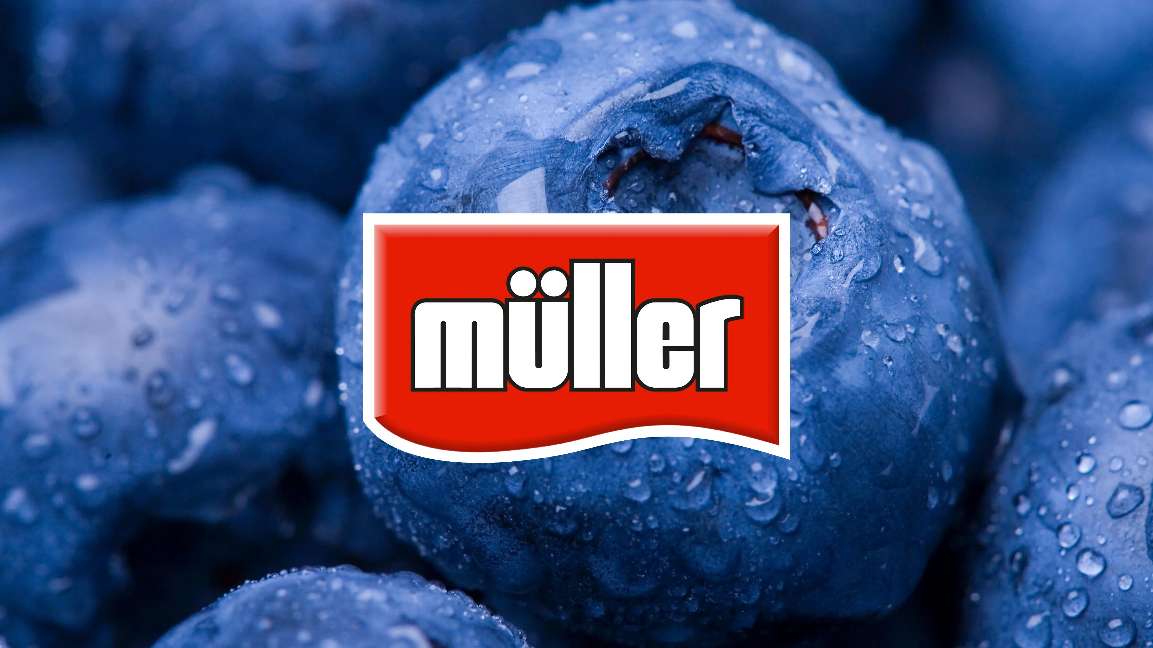 Blueberry with Muller logo 