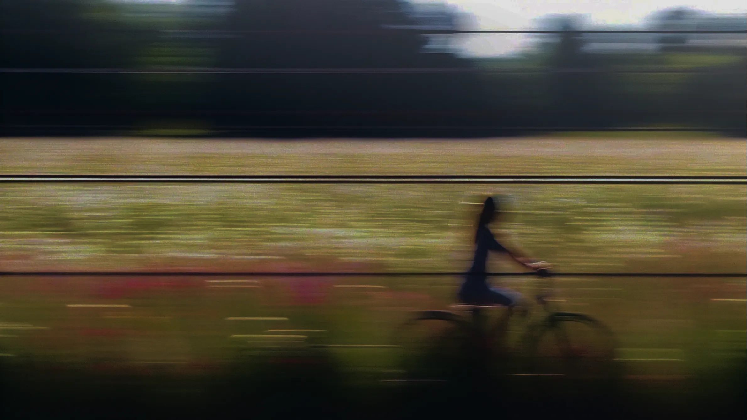 Blurred silhouette of a person riding a bicycle past a field with flowers and trees in the background.