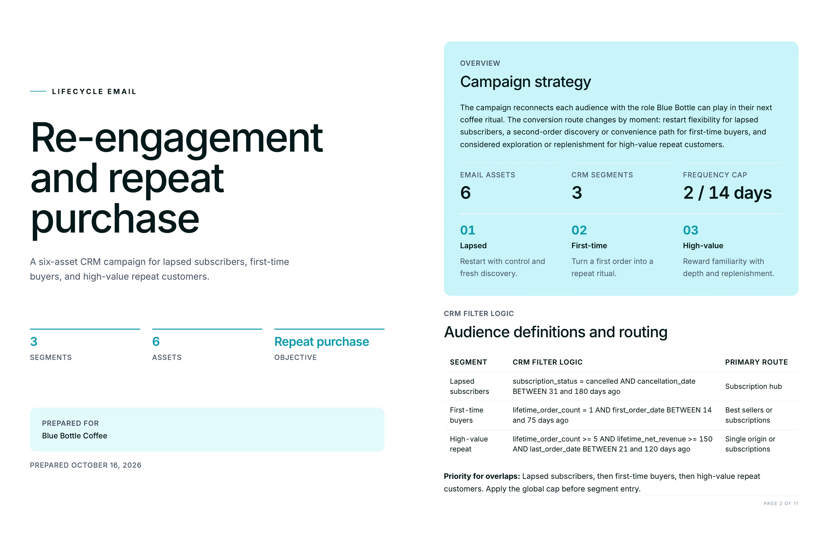 Campaign strategy and CRM filter logic for each segment