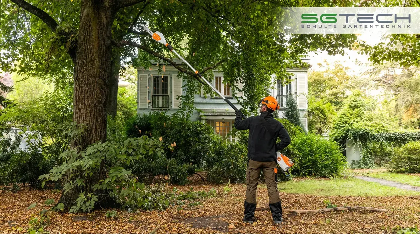Person von hinten mit Schutzhelm schneidet mit Stihl HTA86 Hochentaster Äste von Laubbaum in großem Herbstgarten vor Wohnhaus.
