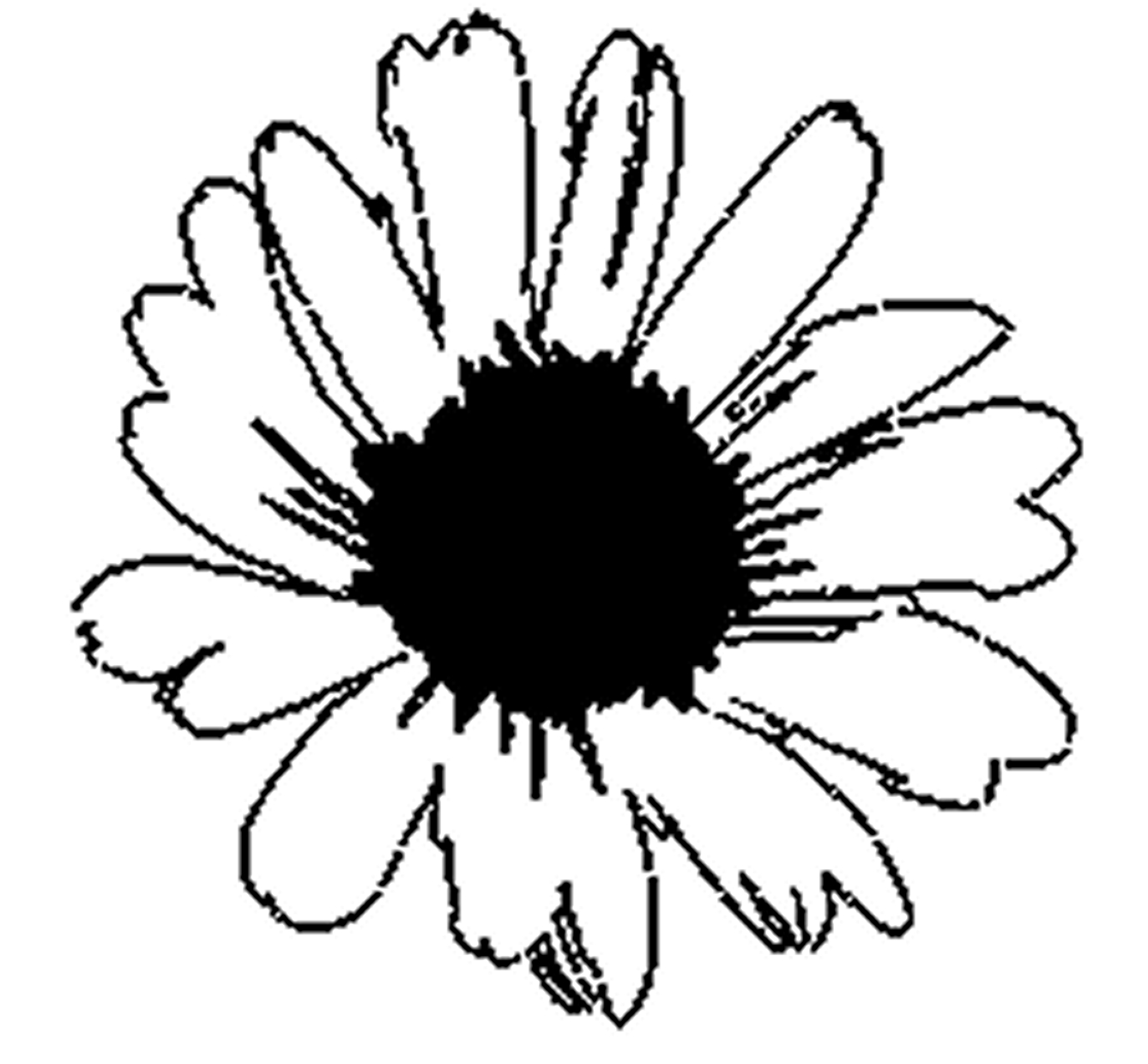 A Vector of a Daisy in Black and White