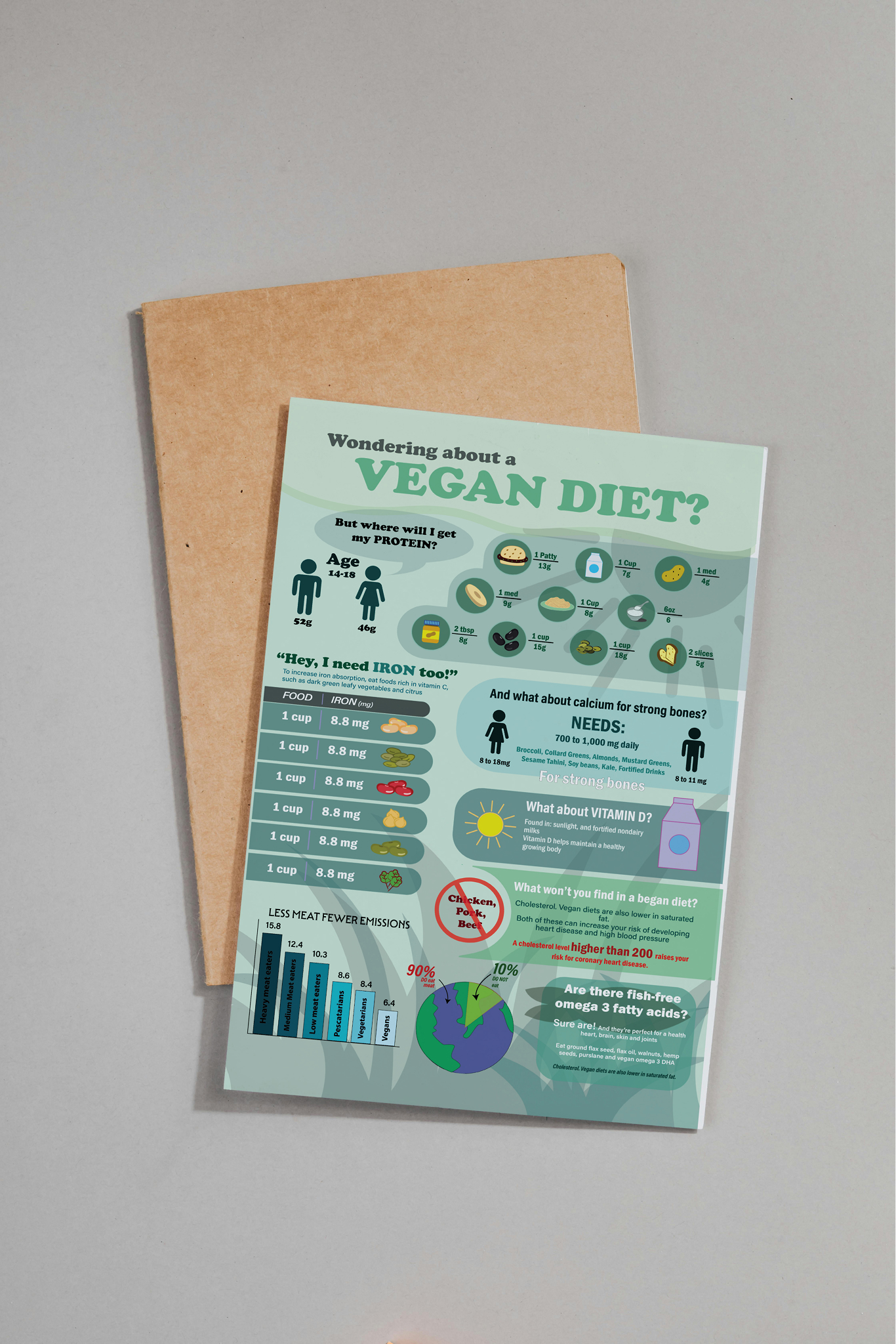 An Infographic mockup of a Vegan Diet