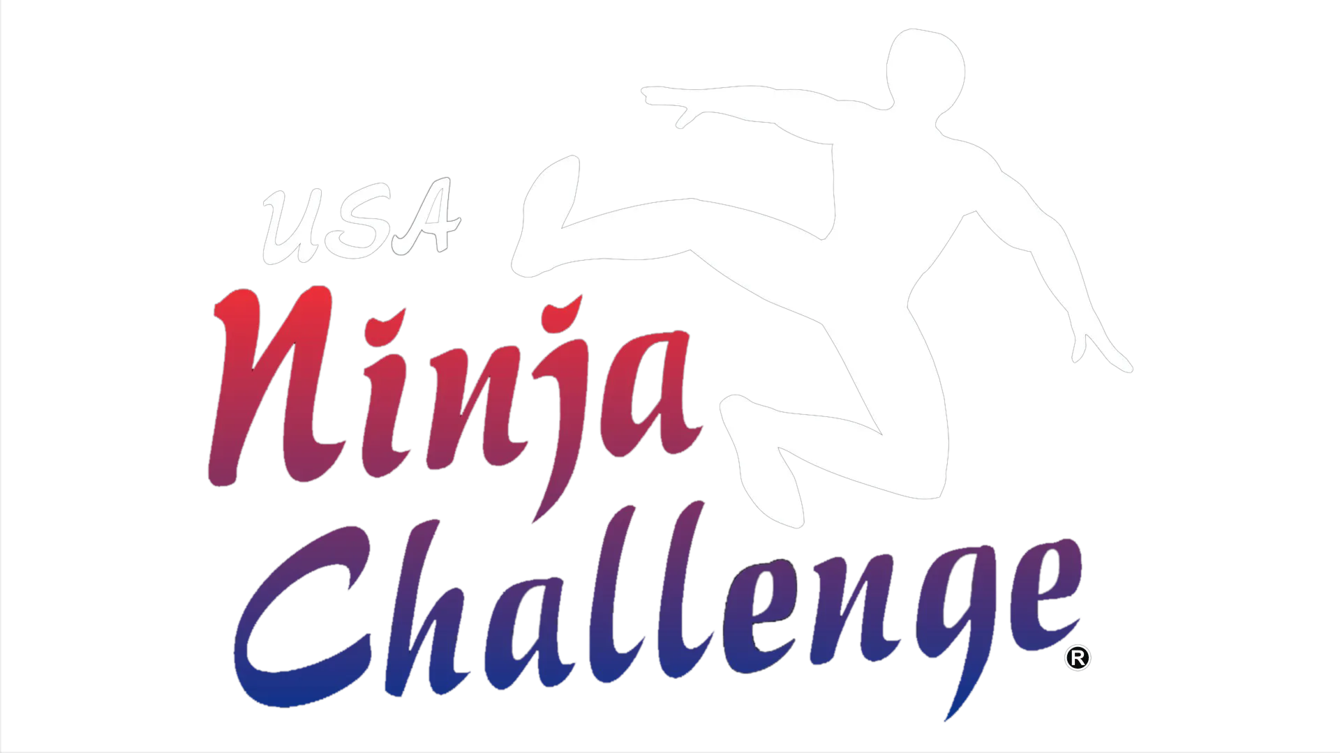USA Ninja Challenge Logo