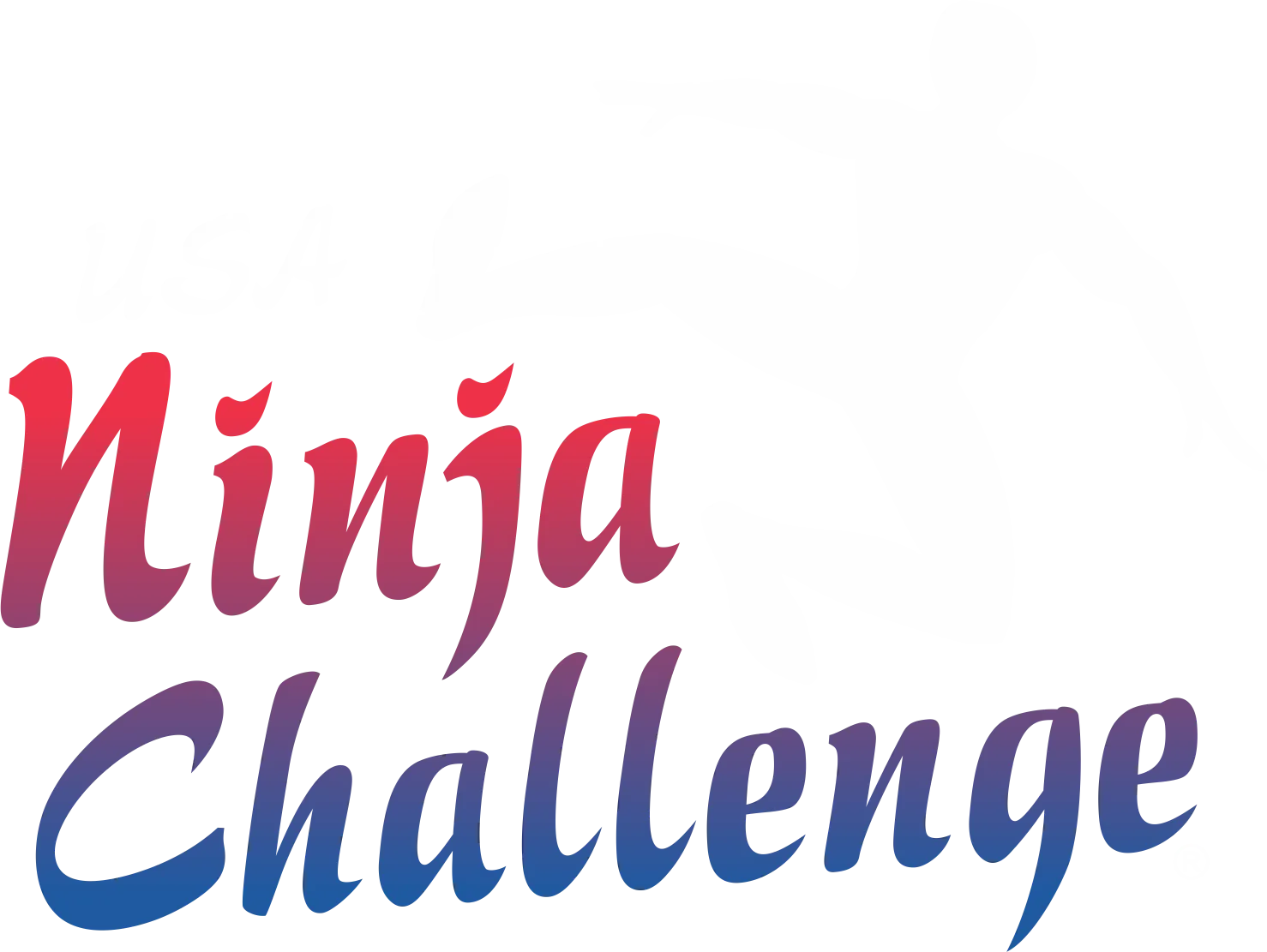 USA Ninja Challenge