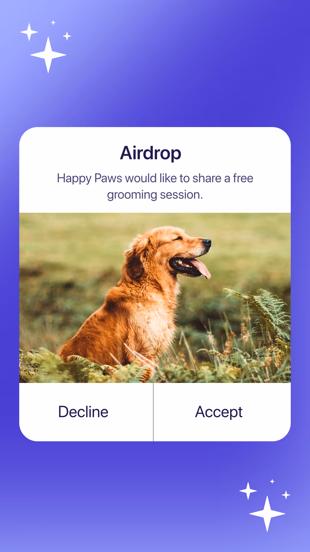 Happy Paws Airdrop
