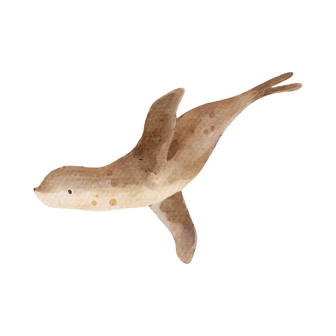 seal diving watercolor style