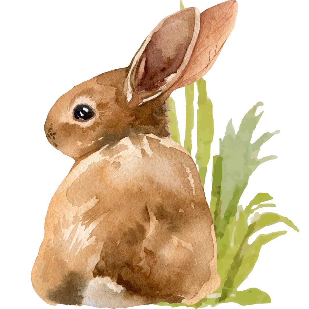 watercolor art of a cute bunny