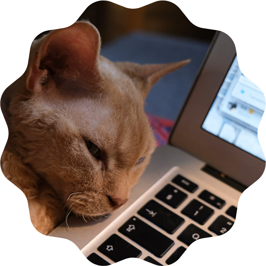 Cat resting its head near a laptop keyboard and screen.