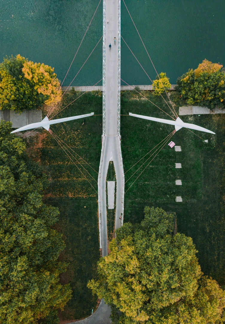 Modern bridge over a river with trees