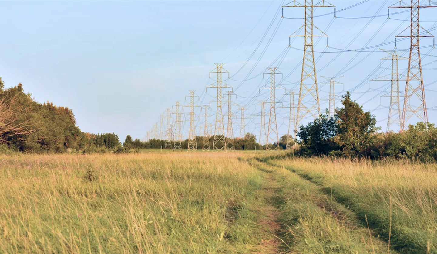 A dirt path through a grassy field with power lines.