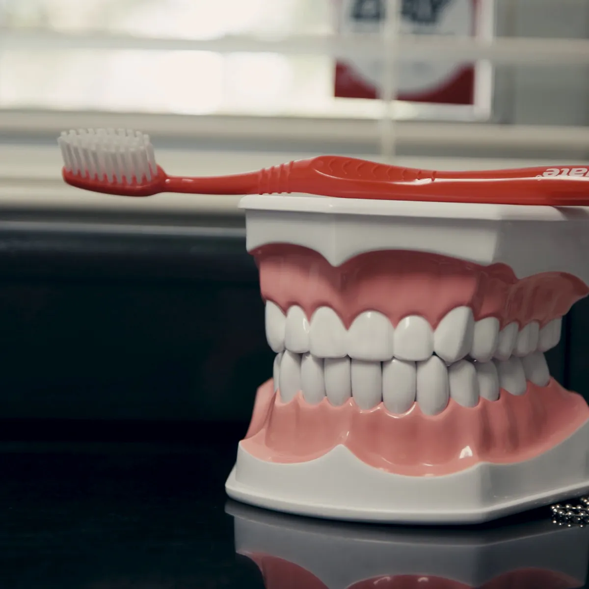 Model of teeth with toothbrush at Concord Heritage Dental