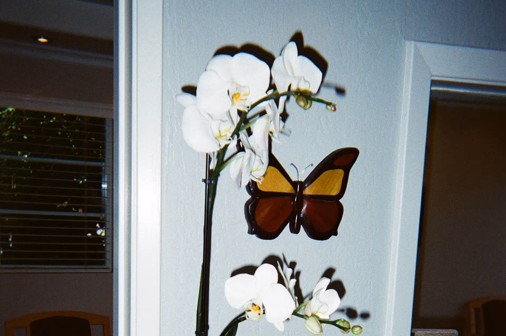 Concord Heritage Dental office