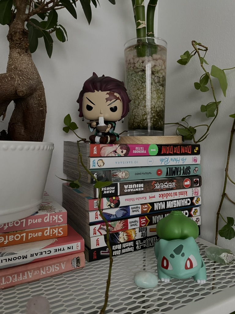 Picture of books and figurines.