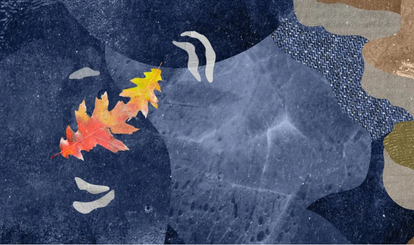 Illustration of a large blue body of water background with textured patterns alongside two overlapping red and yellow autumn leaves and a few small gray cliff shapes.