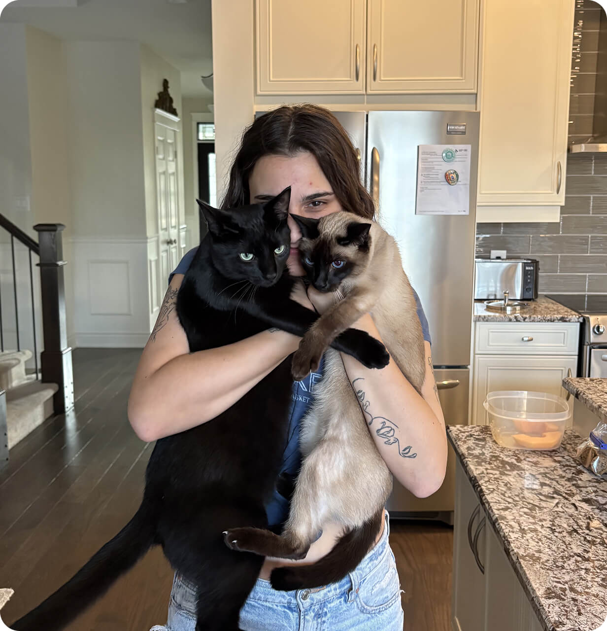 Person in a kitchen holding and hugging a large black cat and a Siamese cat close to their face.