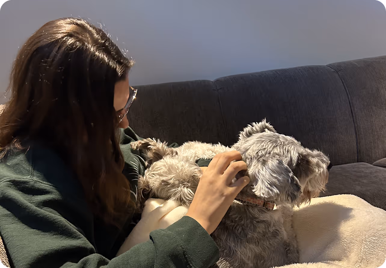 Person wearing glasses and a green sweater petting two small light gray dogs on a dark gray couch.