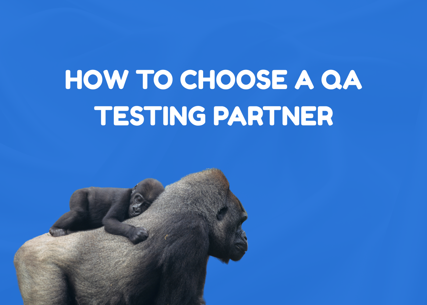 How to Choose a QA Testing Partner