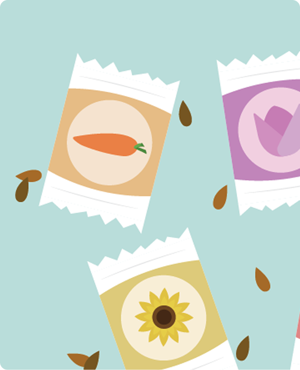 Illustration of four snack packets with icons of a carrot, sunflower seed, and a purple leaf, surrounded by scattered seeds on a light blue background.