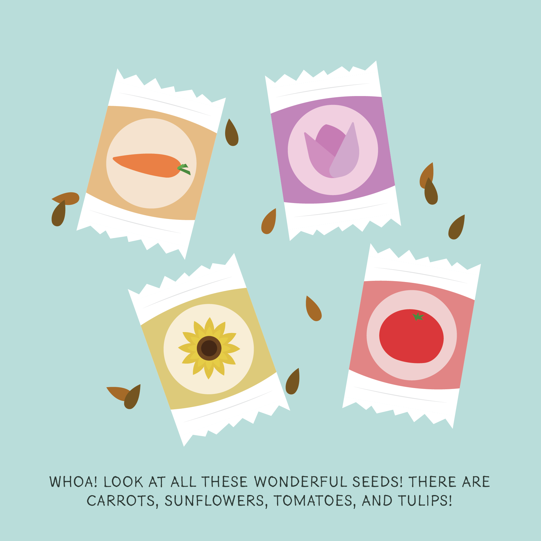 Four seed packets featuring a carrot, tulips, a sunflower, and a tomato with scattered seeds around them and a caption about the seeds.