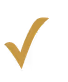 Golden brown check mark icon.