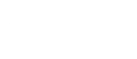 SEO Wolf