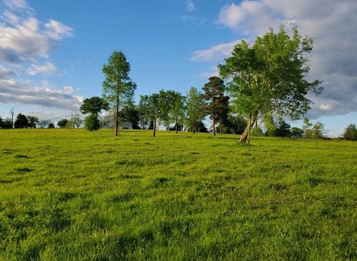 Property Card Item Image