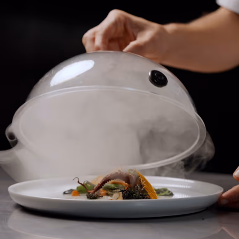 A hand lifting a glass dome releasing smoke to reveal a gourmet seafood dish plated on a white plate.