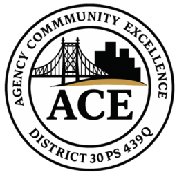 ACE District 30 PS 4390 logo with bridge and cityscape