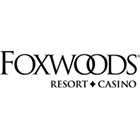 Stylized black fox with eyes, nose, and whiskers visible, partly outlined and filled with black.