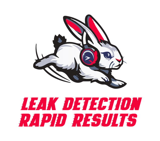 Leak Detection RR