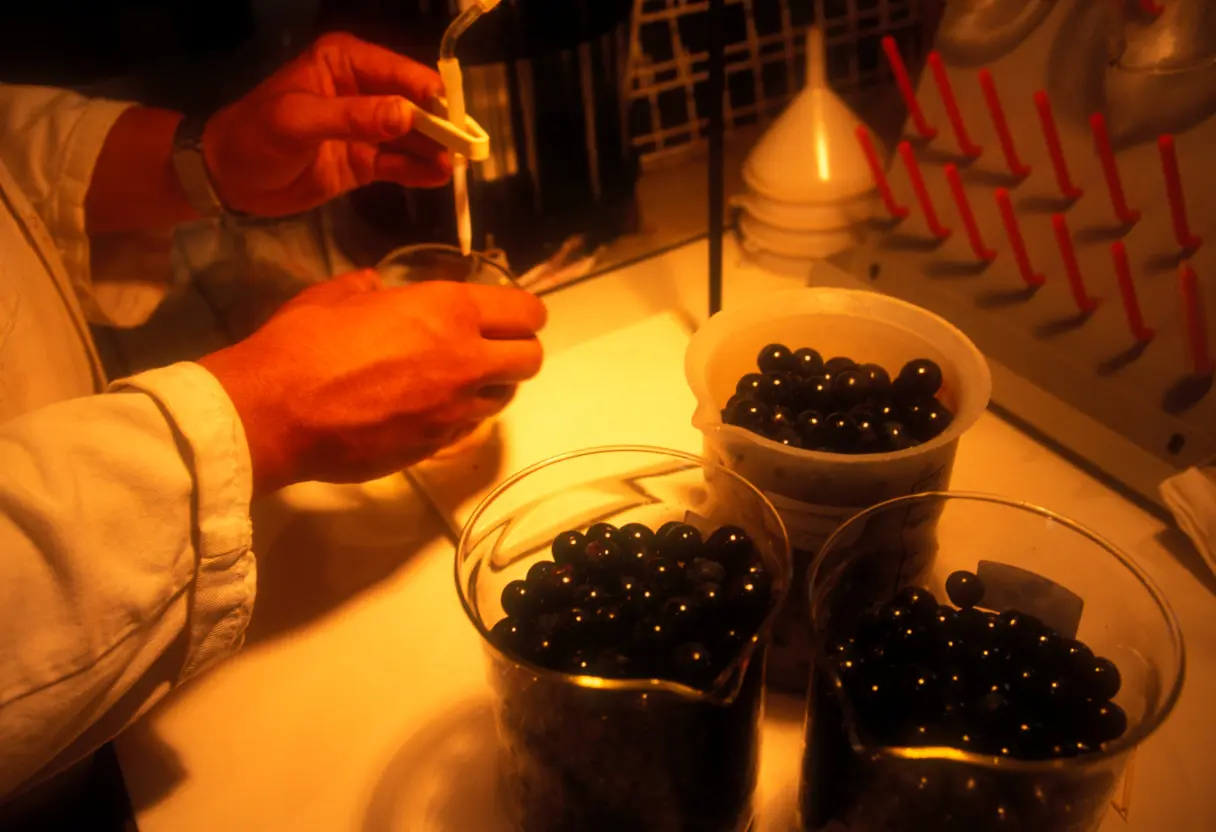 [digital project] image of media outreach strategy (for a pr firm)