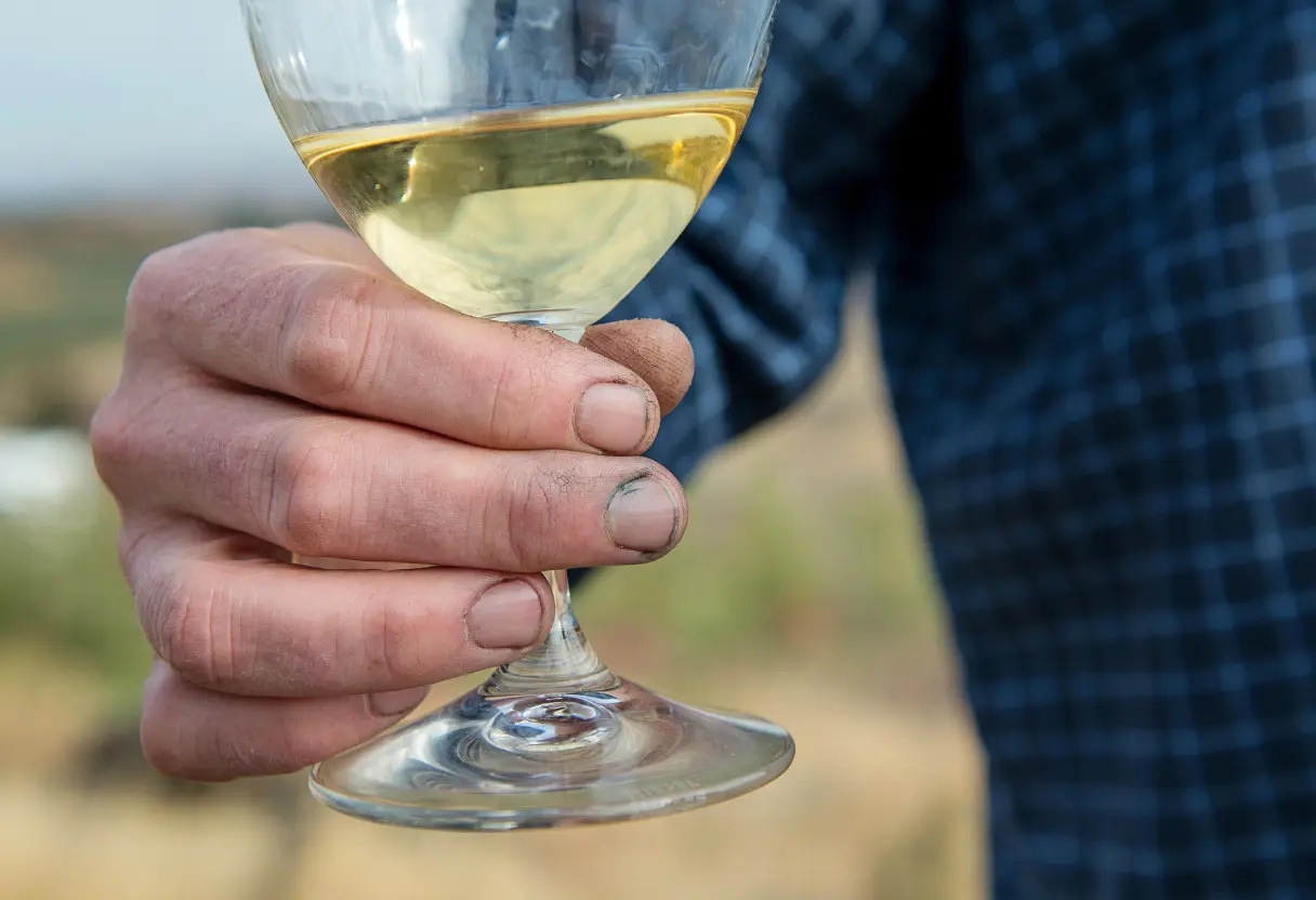 image of company milestones in a timeline format (for a edtech)