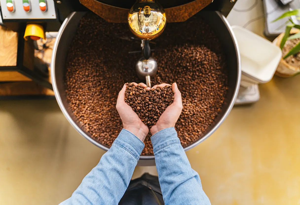 [interface] image of a computer showcasing educational software (for a edtech)