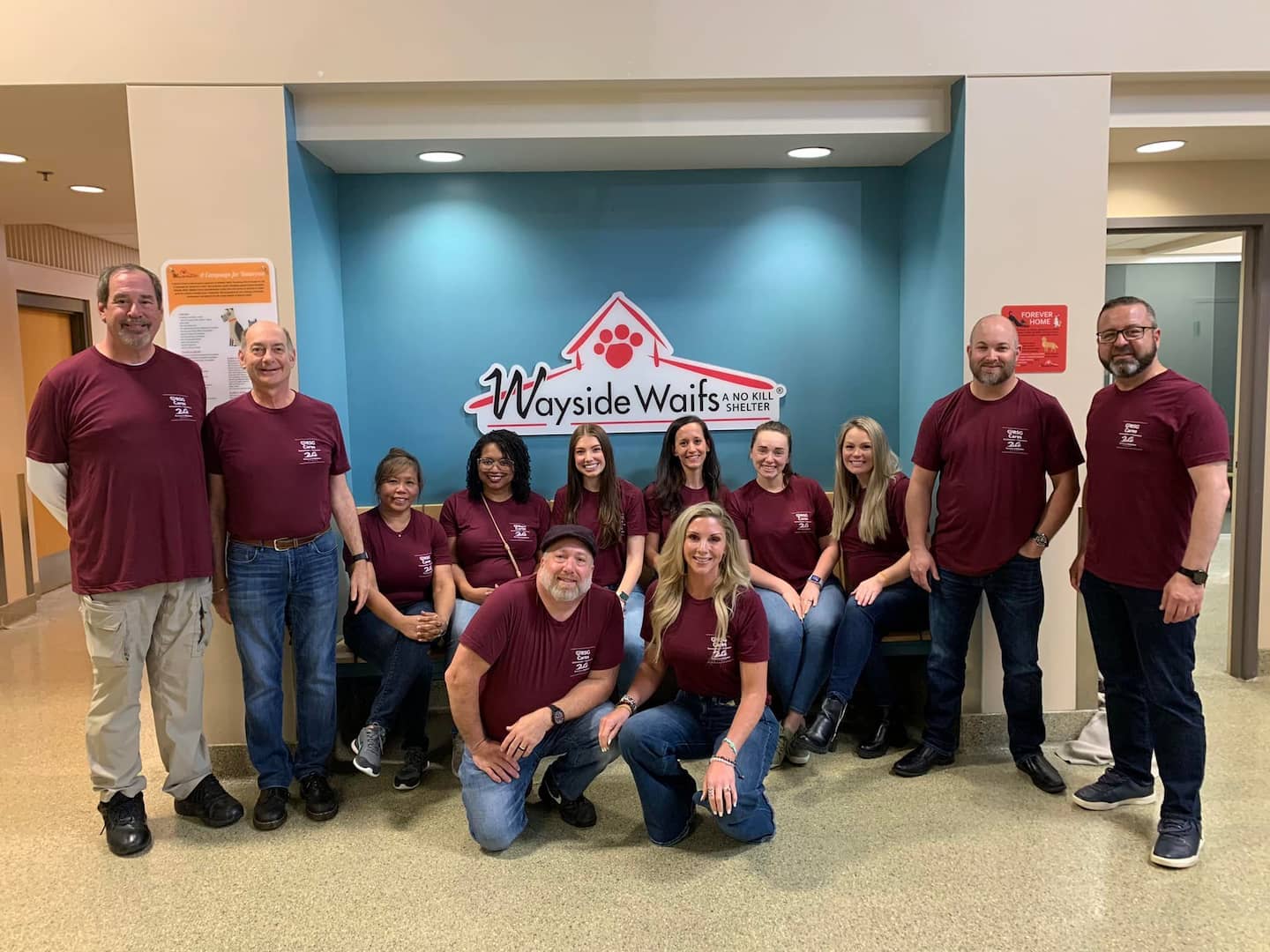 RSG volunteering at Wayside Waifs