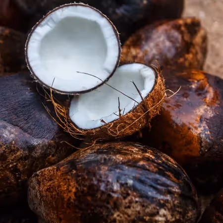 Cracked coconuts showing fresh white flesh inside the shells